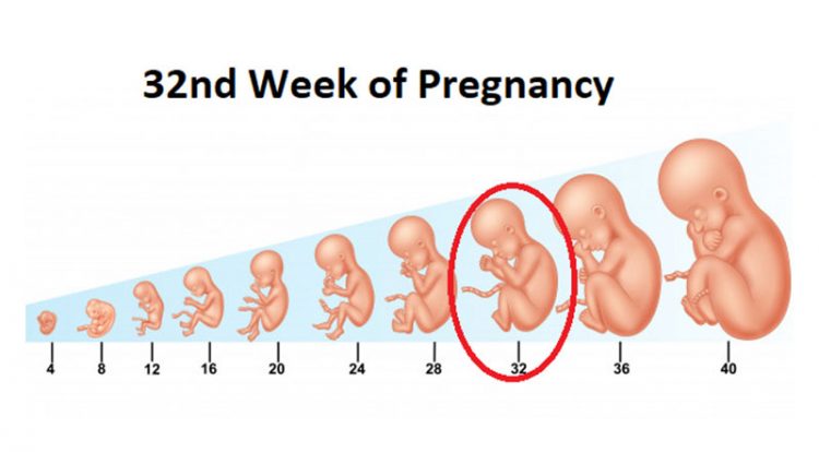 Phụ nữ mang thai